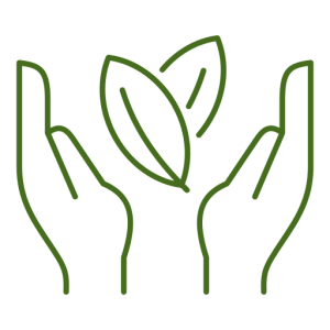 Sustainable Materials